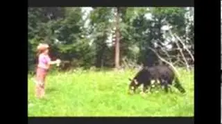 I met a bear by Twin Sisters mp3