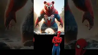 marvel & dc superheroes but bear version #shorts​