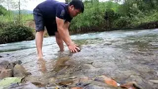 Fish trap skills, Crafting smart fish traps that catch a lot of big fish in the river