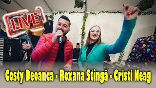 Costy Deoanca - Roxana St&icirc;ngă și formația Cristi Neag - LIVE SERBIA ȘI ROM&Acirc;NIA