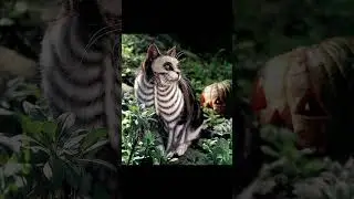 #remix #music #song #cat #фрии #kitten #ффхайлайт #фрифаергарена #art #cute