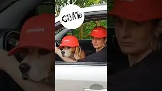 Бейсболка &laquo;Амбиции&raquo;