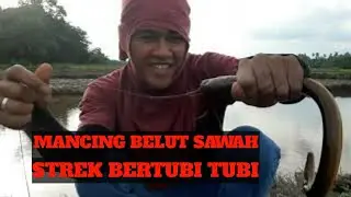 MANCING BELUT DI SPOT NYA OM || SoNTuaL BRSAMA || ANTU AER FISHING FROJECT || Bang Feriadi Fishing