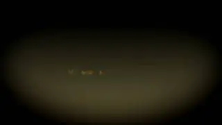 Abusive Meerkat intro