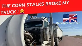 Corn Stalks caused me to break down at the side of the road