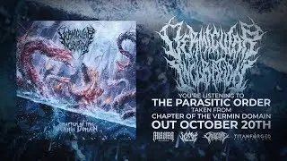 VERMICULAR INCUBATION - THE PARASITIC ORDER [DEBUT SINGLE] (2019) SW EXCLUSIVE