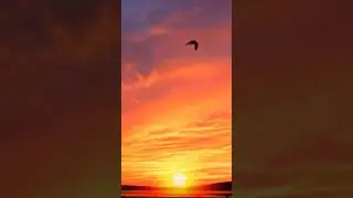 Parcourir le monde avec toi
