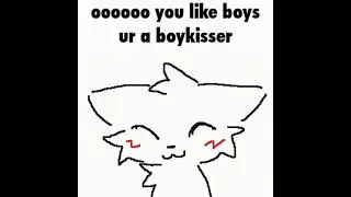 you like boys ur a boykisser