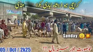 Karachi Mewa Shah Liyari Bakra Mandi 2025 🐐 Beautiful & Cheap Goats | Sunday Mandi  Vilog 😍🔥