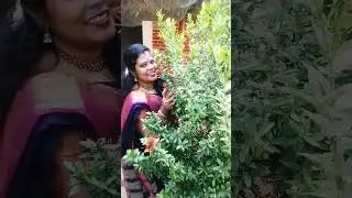 #vadyvelucomedy#saranya#entertainment#all friends support mee pzl 🙏🙏😍😍