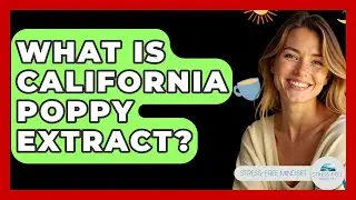 What Is California Poppy Extract? - Stress Free Mindset