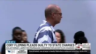 VIDEO: Ex-attorney Fleming enters guilty pleas on state charges