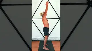 The Essence of My Yoga Practice | Yoga Synergy and 5-Dimensional Flow
