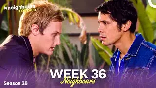 WEEK 36 | Episodes 6486-6490 | Neighbours 2012 (Season 28)