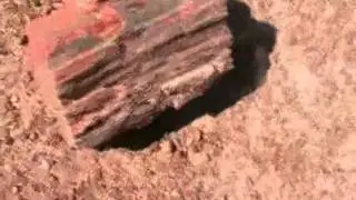 Petrified Forest National Park 2/2