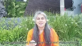 Hanuman, The Master Mind: Thinking About It | #ChinmayaMission #Hanuman #Value #Motivation