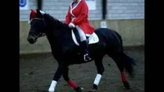 Min bedste ven Linka
