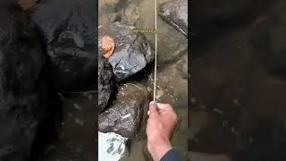 Beginilah Cara Tau Ada Sidat Di Dalam Lubang Pondasi Atau Bebatuan  #jujulsidat