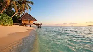 Reggae Island Mix 🌊 Feel Good Tropical Vibes to Relax & Work
