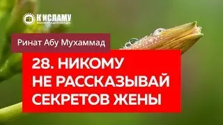 28/40. Никому не рассказывай секретов жены &mdash; Ринат Абу Мухаммад