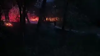 'It's wild;' 14 wildfires started over the weekend in already active season