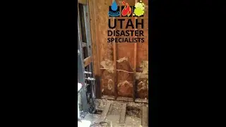 Mold removal job leads to more mold.
