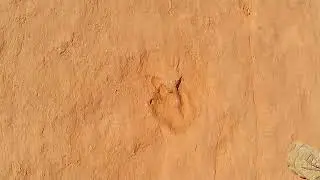 Hurricane Utah UTV riding Oct22 Dino tracks