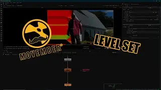 Movember Nuke trick 27 : level set