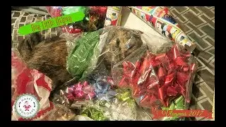 VLOGMAS 2017 DAY 3 - OUR LITTLE HELPER!