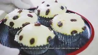 Automatic Sliced Cake Processing Line for Business