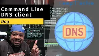 Dog | Command Line DNS Client for Linux