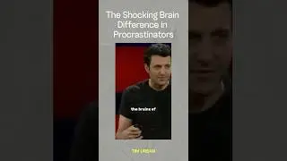 Exploring the Procrastinator's Brain!