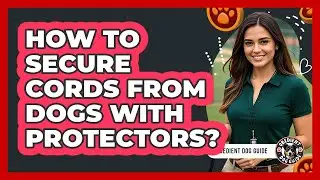 How To Secure Cords From Dogs With Protectors?