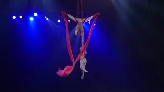 Aerial Silks Duo Spin Circus Act Elegant Entertainment