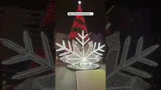 India Light Festival in Phoenix Mall of Asia - Biggest Mall in Bangalore #event #bangalore #festival