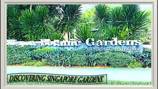 Singapore Botanic Garden Park & Nature Reserves