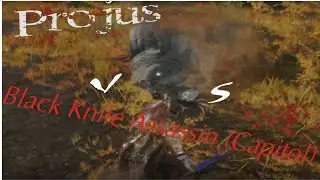 Black Knife Assasin(Capitol) || Boss Fight || ProjusPlays || Elden Ring