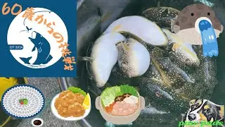 伊勢湾カットウ　根掛かり回避で竿頭へ❣️  仕掛けと釣り方