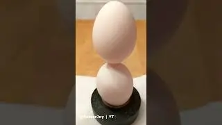 How to Balance Eggs On Each Other (Satisfying Experiment)