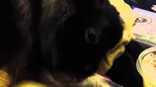 Vlogcember day 2