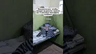 Нужно посадить семена для огорода. Что получилось ?#mellstroy #money #motivation t  #юмор