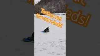 Family Snow Fun! #family #familyvlog #snowdayvibes #snowmageddon