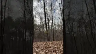 Scrambling for Par
