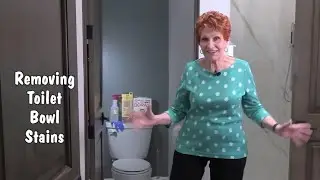 Queen of Clean: Removing that ring around the toilet bowl