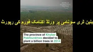 KP Govt Invested in Green Gold, A Billion Tree Tsunami Project: World Economic Forum