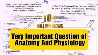 MPMSU LATEST UPDATE 🔥| Very IMP Question Of Anatomy