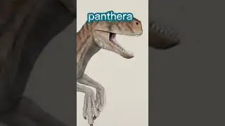 Atrociraptor edit #shorts #raptor #dinosaur 👍💪🦕🦖🙏