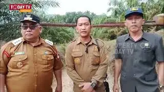 BPN dan Dinas Kehutanan Tetapkan Sawit PT Limpul Berada di Kawasan Hutan