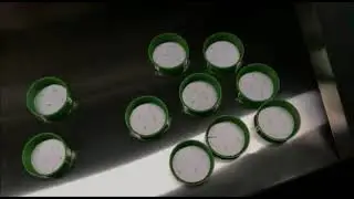41.5 MM Cap Wad Inserting Machine with Cap Elevator