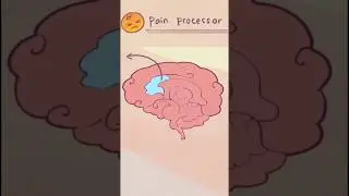 What NEVER Having Sex Does To Your Brain